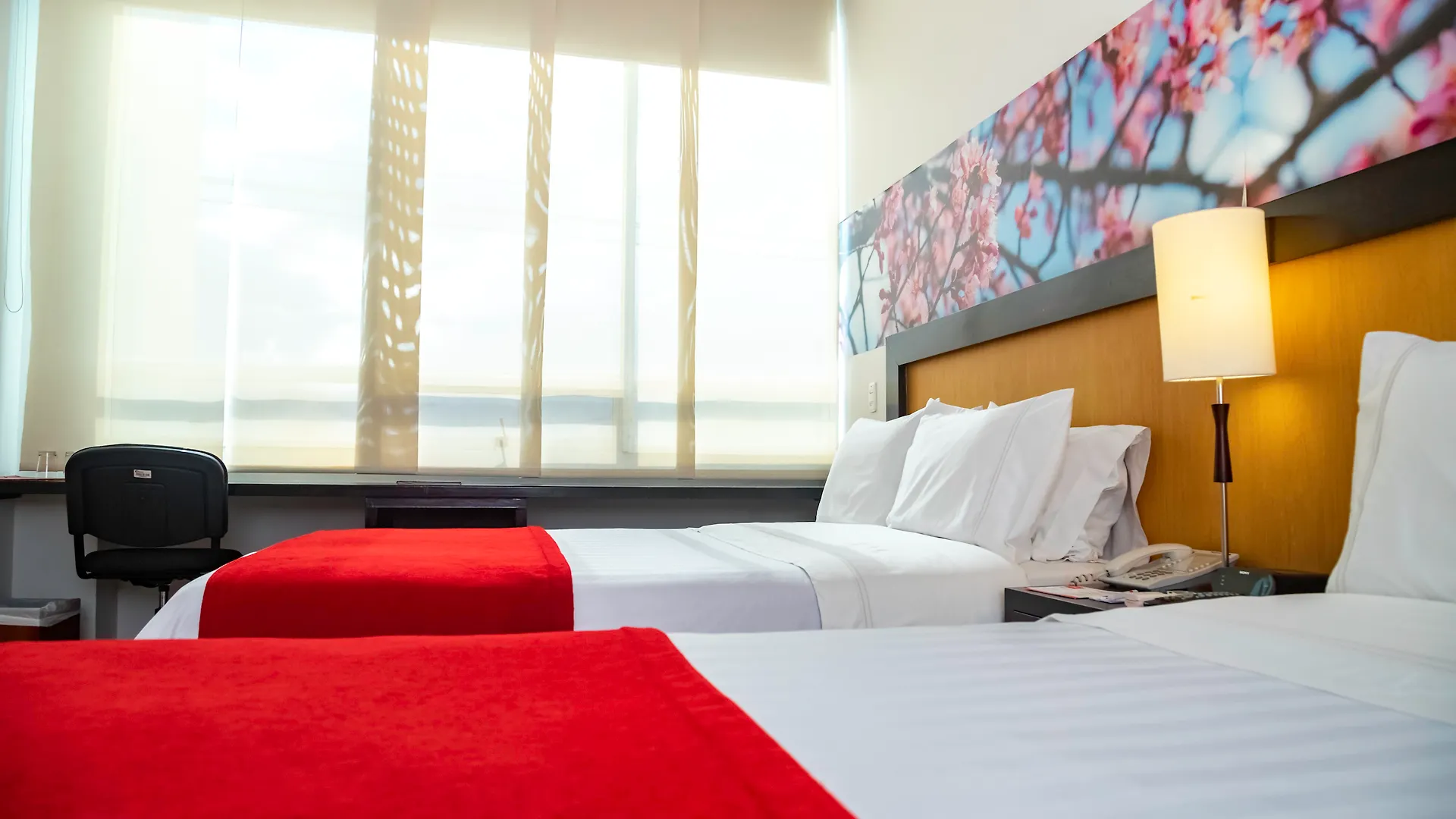 Mi Hotel Sandiego Medellin
