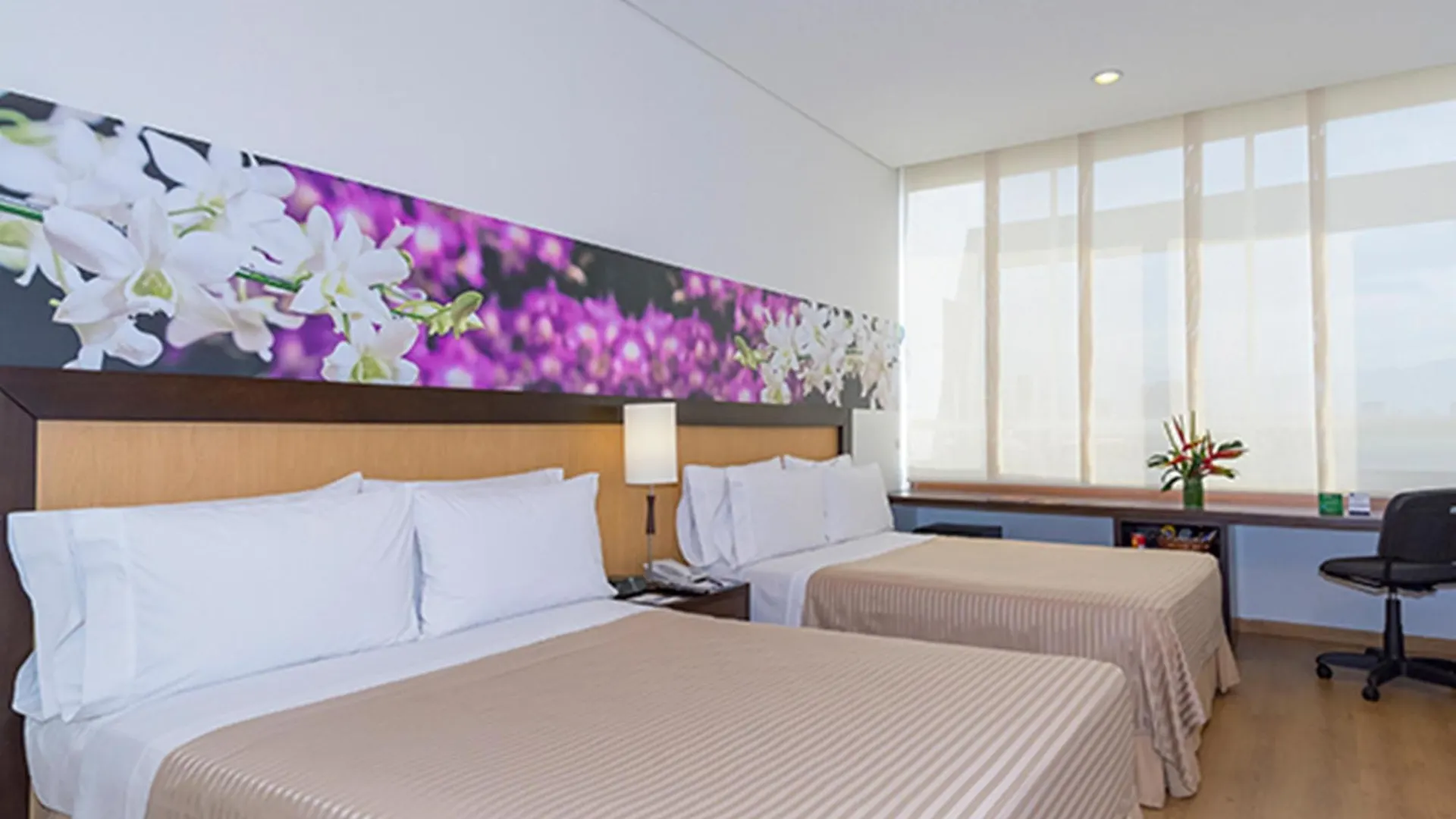 ****  Mi Hotel Sandiego Medellin Colombia